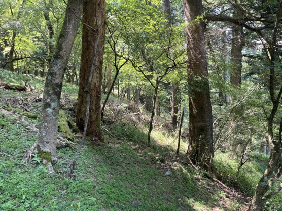 【外観】 | 東急天城高原別荘地　売地