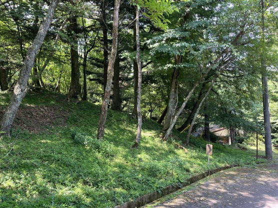 【外観】 | 東急天城高原別荘地　売地