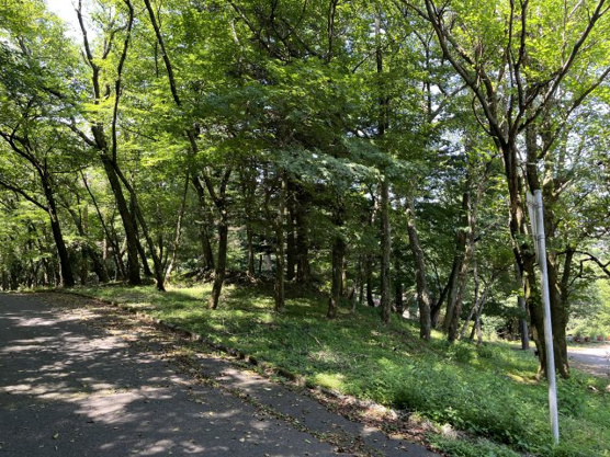 【外観】 | 東急天城高原別荘地　売地