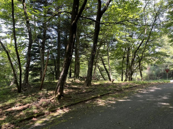 【外観】 | 東急天城高原別荘地　売地
