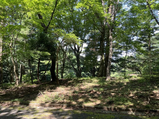 【外観】 | 東急天城高原別荘地　売地