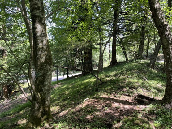 【外観】 | 東急天城高原別荘地　売地