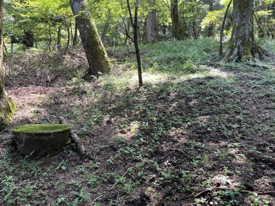 【外観】 | 東急天城高原別荘地　売地