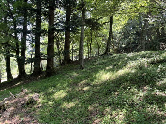 【外観】 | 東急天城高原別荘地　売地