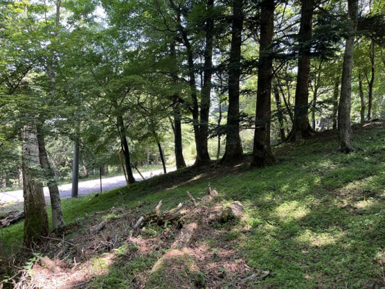 【外観】 | 東急天城高原別荘地　売地