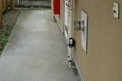 【ロビー】 | テラスマグノリア