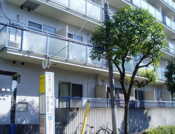 パレ・ドール本郷の外観