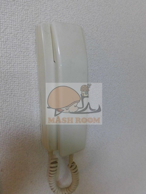 エバーグリーンのセキュリティ