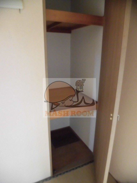 エバーグリーンの収納