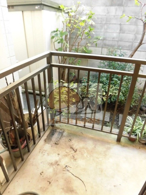 エバーグリーンの展望