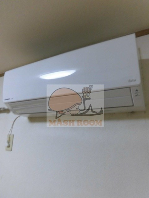 エバーグリーンの設備