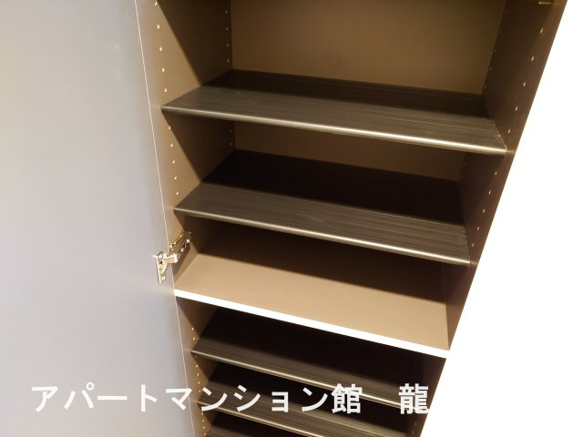 infield Dの収納