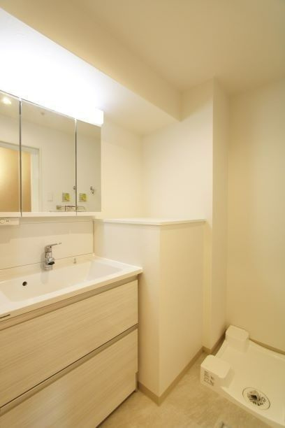 エスタート御幣島（旧：ディームス御幣島）の洗面所