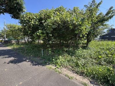 【外観】 | 桜ヶ丘977貸地