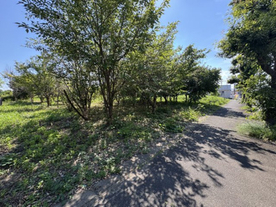 【外観】 | 桜ヶ丘977貸地