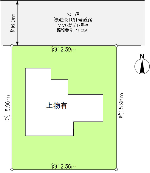 つつじが丘２丁目古家付土地の土地図|間口約12.5ｍの整形地