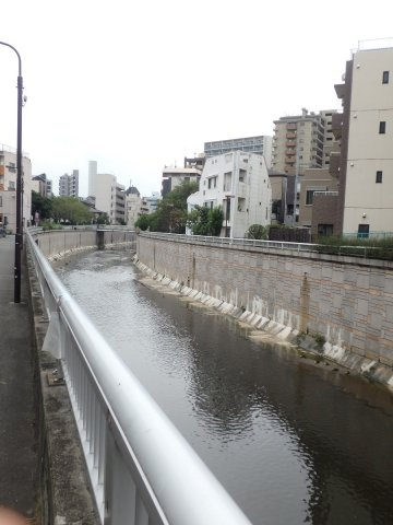 ひかりコーポハイムの周辺|お近くにはふと自然を感じる神田川があります。右下に…