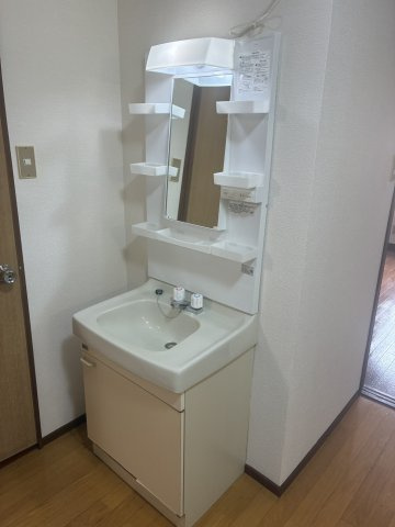 スターハイツの洗面所