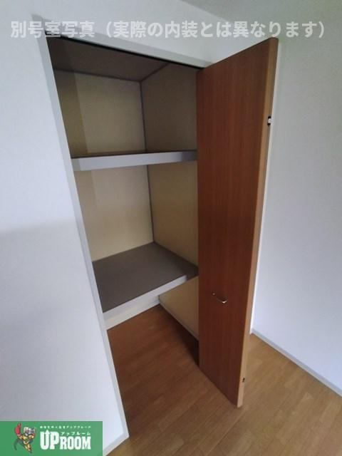 フレマリールK’sの収納