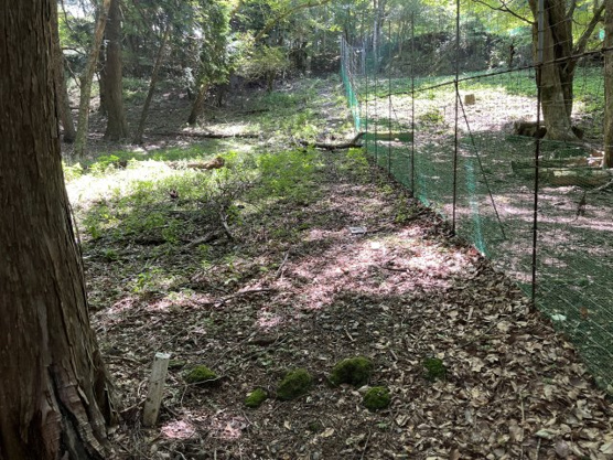 【外観】 | 東急天城高原別荘地　売地