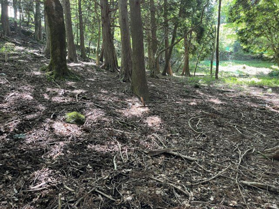 【外観】 | 東急天城高原別荘地　売地