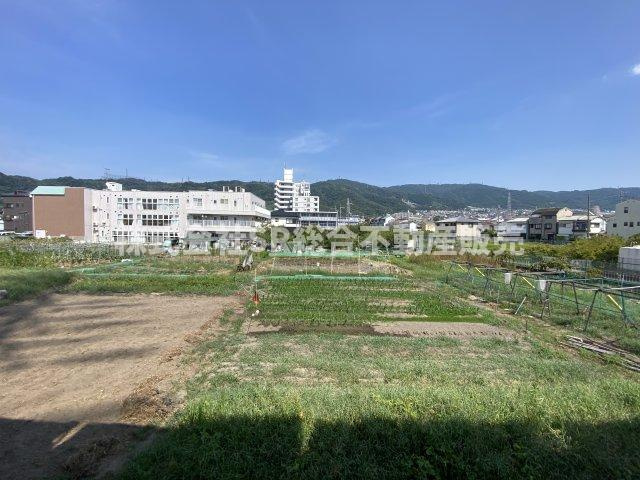 日下町5丁目中古戸建の展望|東側は、裏が畑でのどかな景色が広がり、生駒山がよく見えます。