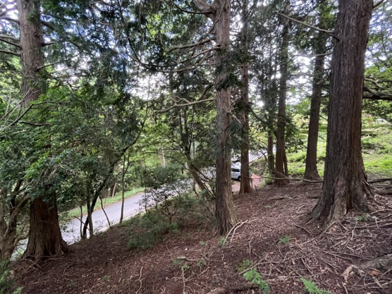 【外観】 | 東急天城高原別荘地　売地