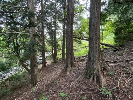 【外観】 | 東急天城高原別荘地　売地
