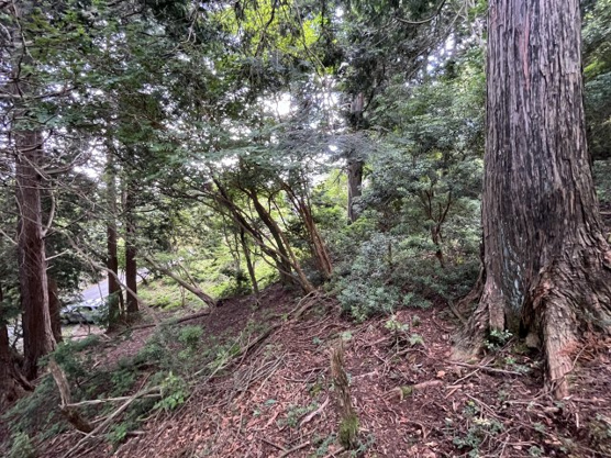 【外観】 | 東急天城高原別荘地　売地