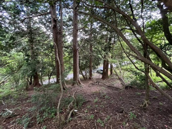 【外観】 | 東急天城高原別荘地　売地