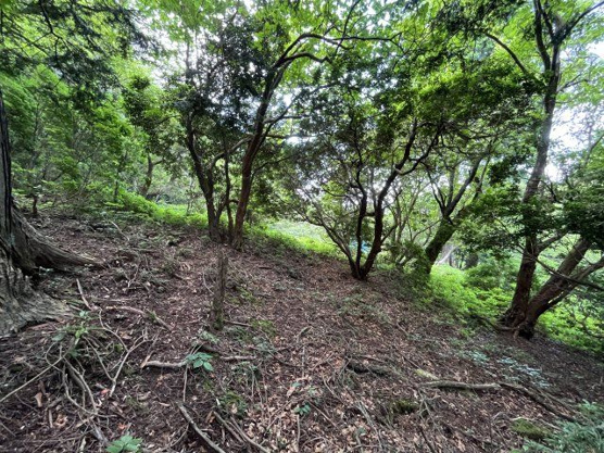 【外観】 | 東急天城高原別荘地　売地