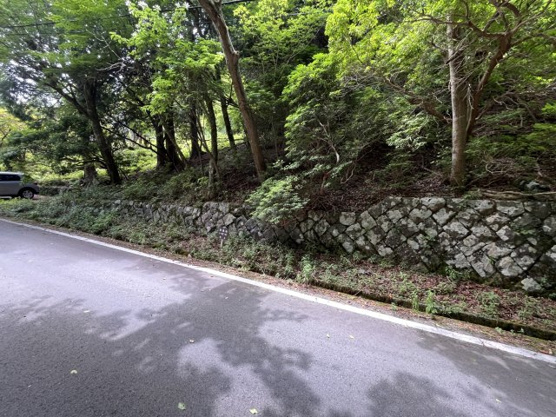 【外観】 | 東急天城高原別荘地　売地