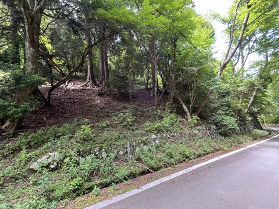 【外観】 | 東急天城高原別荘地　売地