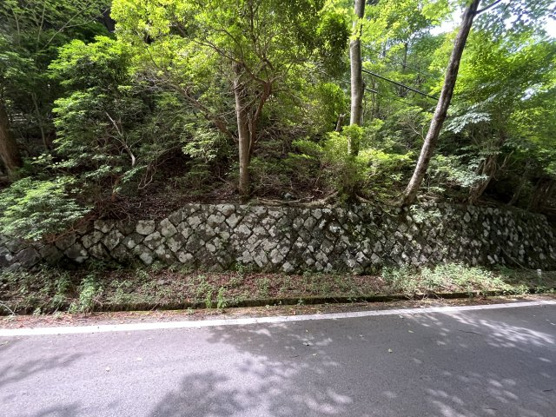 【外観】 | 東急天城高原別荘地　売地