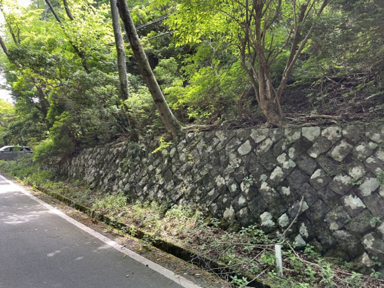 【外観】 | 東急天城高原別荘地　売地