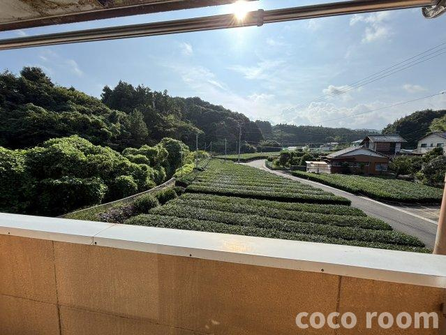 グリーンプラザ八木の展望