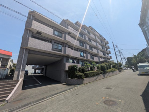 シーダム藤沢善行の画像