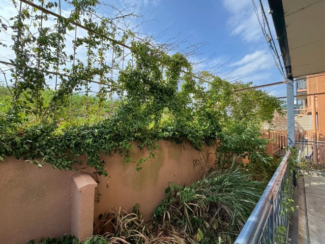 アゼリアコートの展望