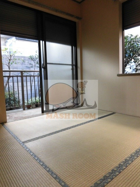 エバーグリーン