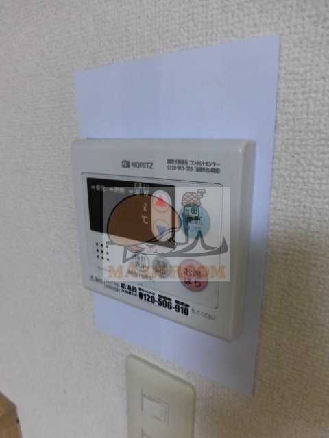 エバーグリーン