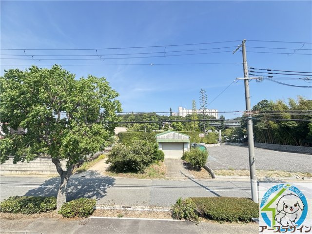 フロリバンダの展望