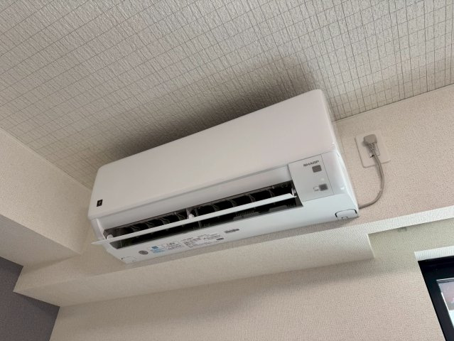 コンテ石橋のその他