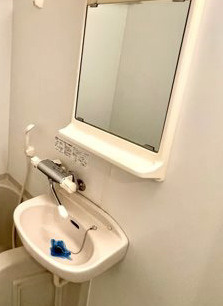 レジディア広尾Ⅱの洗面所