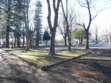 昭和公園まで892m