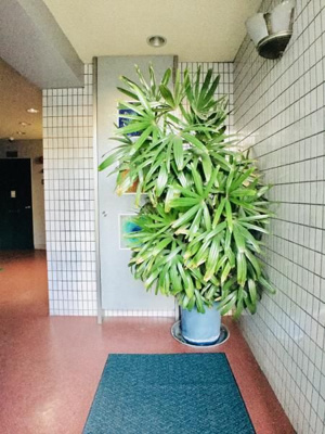 【ロビー】 | 浅川マンション