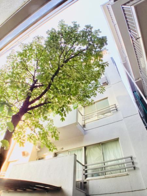 【その他共用部分】 | 浅川マンション