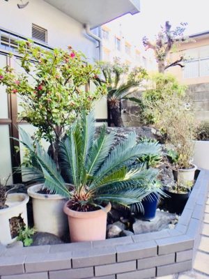 【その他共用部分】 | 浅川マンション