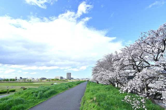 CS GARDEN田園調布のその他