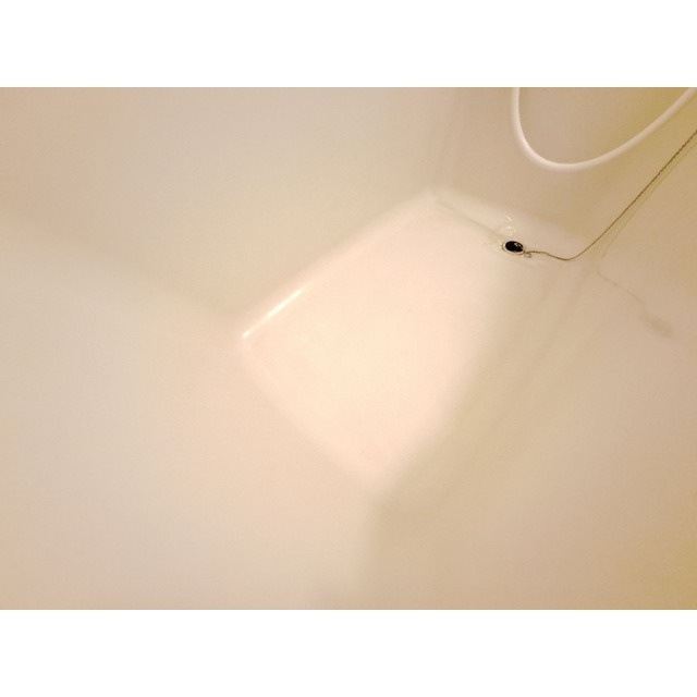 リバティータウンSの浴室