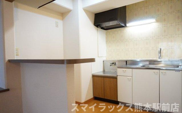 熊本市中央区坪井１丁目の賃貸マンションのキッチン